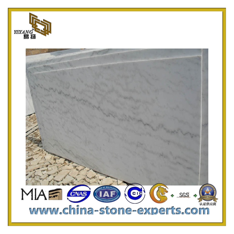 Polish Natural Stone White Marble for Countertop/Flooring (YQC)