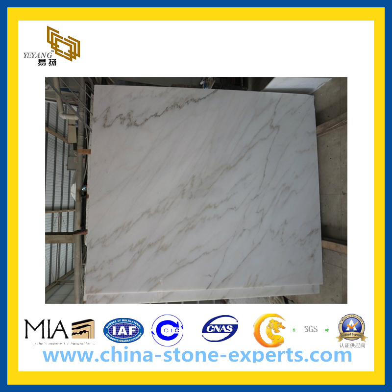 Chinese Carrara White Marble Tile for Wall and Floor(YQC)