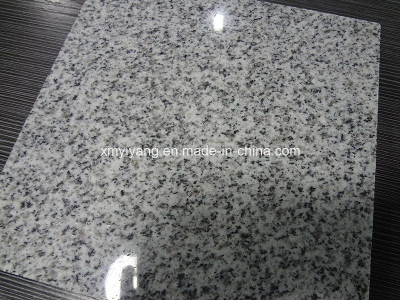 New G603 Grey Granite Flooring for Tiles / Wall / Kitchen Tile