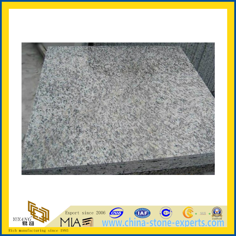 Polished Tiger Skin White Granite Flooring Tile(YQC)