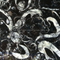 High Polished Sea Shell Black Fossil Marble Slab (YQZ-MS1004)