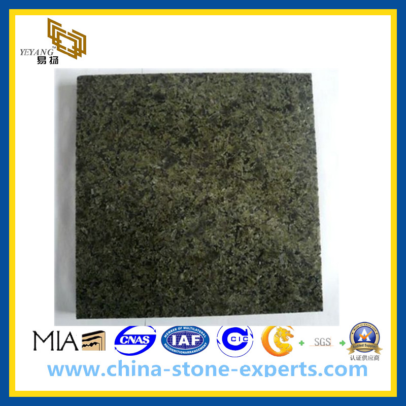 Chengde Green Granite Stone Tile for Floor or Wall(YQG-GT1028)