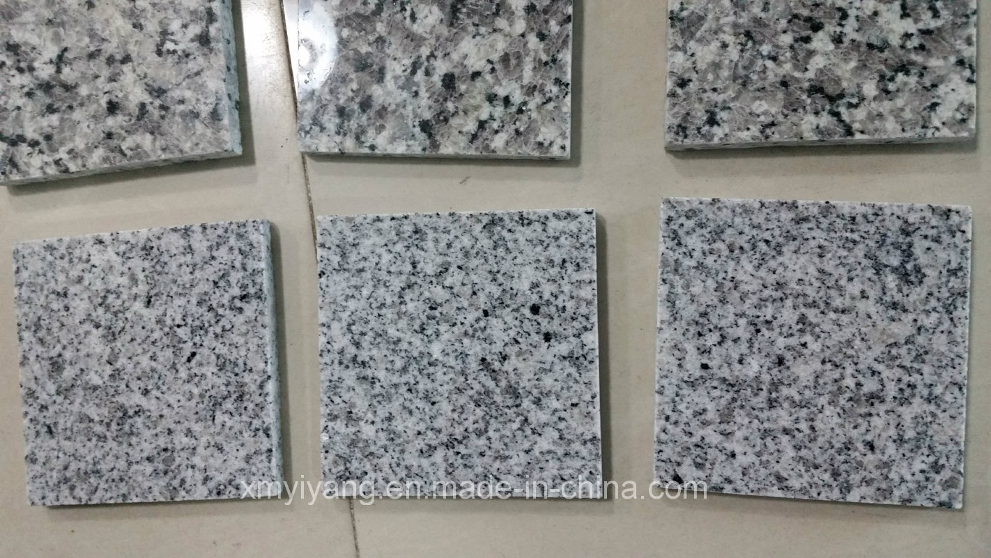 Cheapest New G603/Padang Light China Grey Granite for Slabs (YY-VNPL)