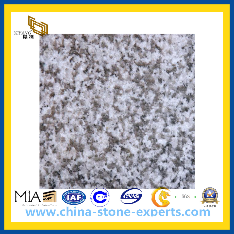G655 Downtown Grey Granite Stone for Floor & Wall (YQG-GT1004)