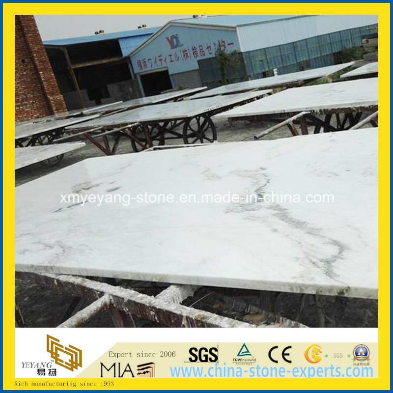 Castro White Marble Building Material for Construction Floor/Wall Decoration