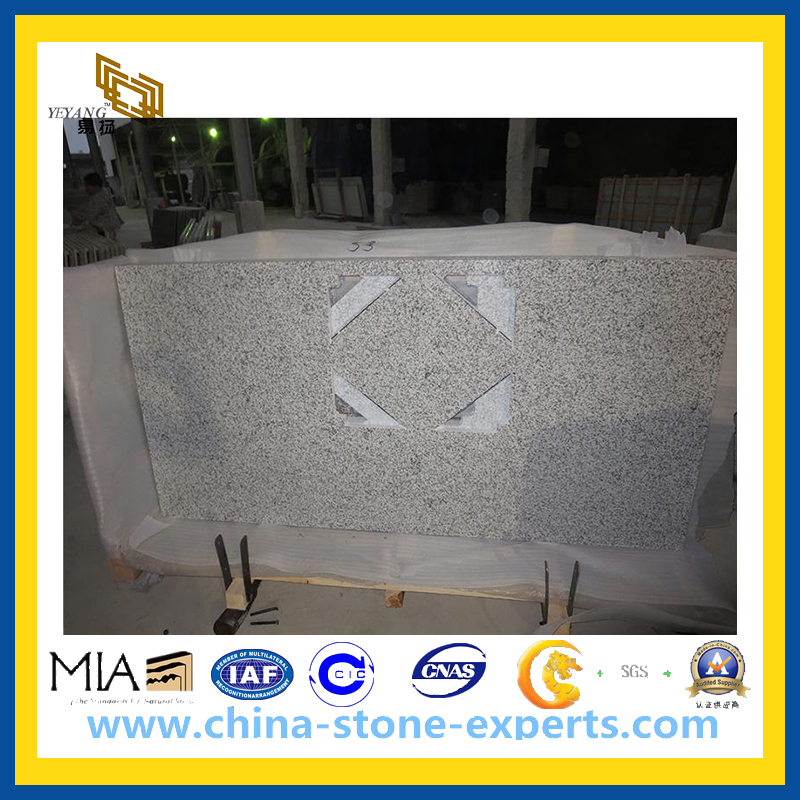 Cheap Daotian White Granite Countertop / Vanity Top (G655) (YQZ-GC)