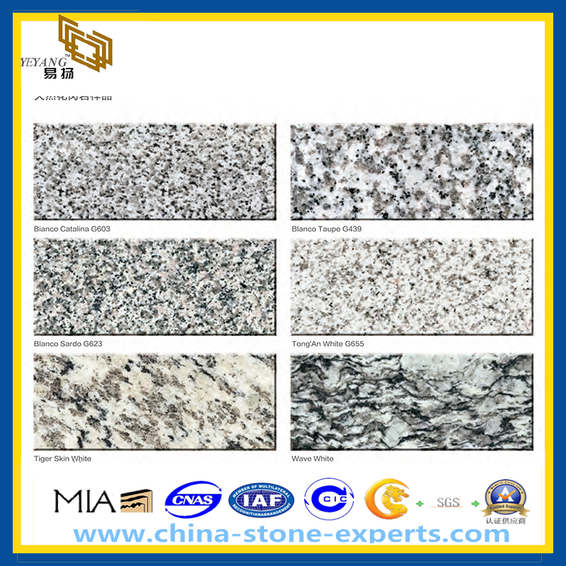  Cheap China White Granite Slab(YQZ-GS)