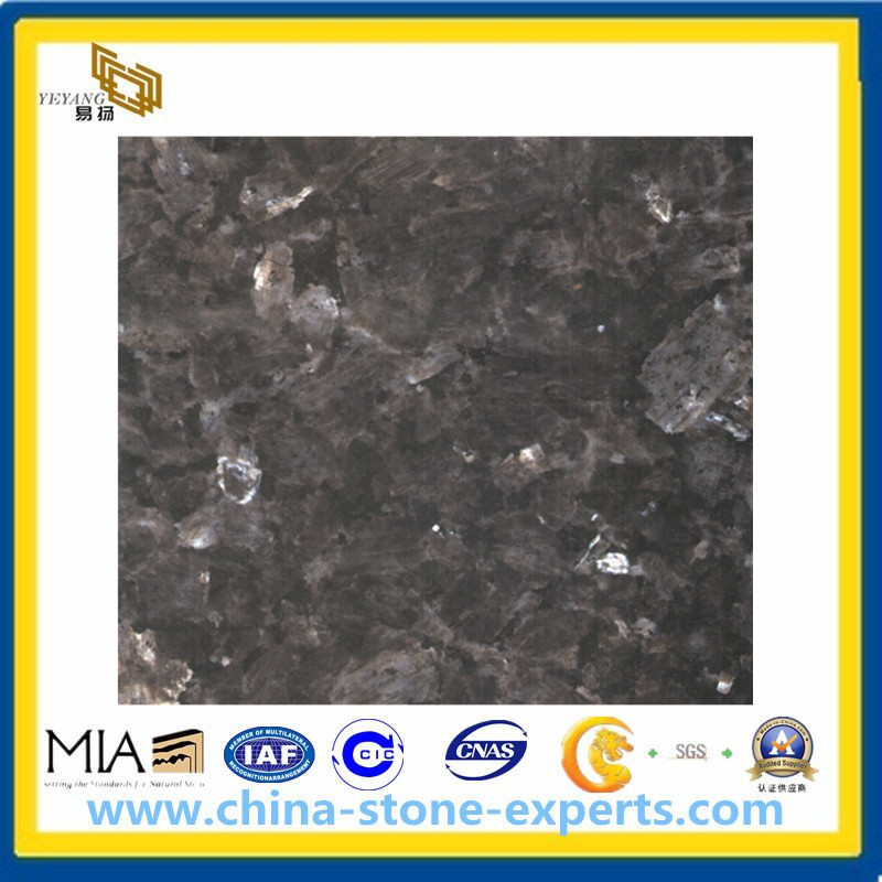 Natural Stone Blue Pearl Granite Tiles for Flooring Steps/Stairs(YQG-GT1014)