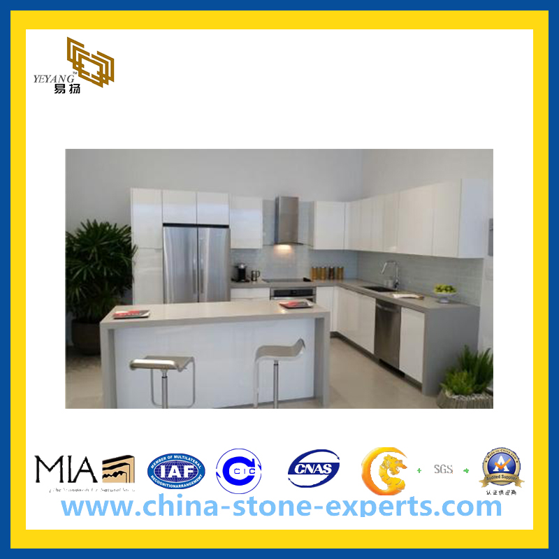 Gray Silver Quartz Stone Countertops for Kitchen, Bathroom(YQG-GC1019)