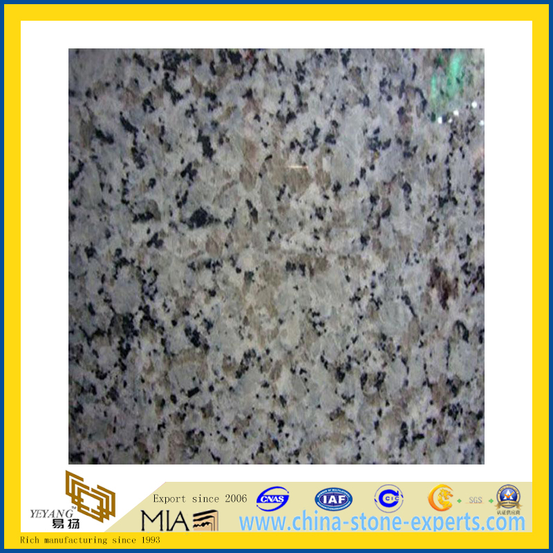 China Bala White Rose White Granite Tile for Floor & Wall(YQG-GT1003)