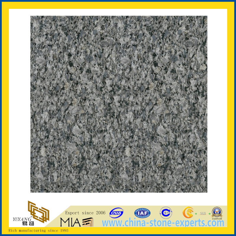 Discount Natural Polished India Ice Blue Granite Flooring Tile Yqg