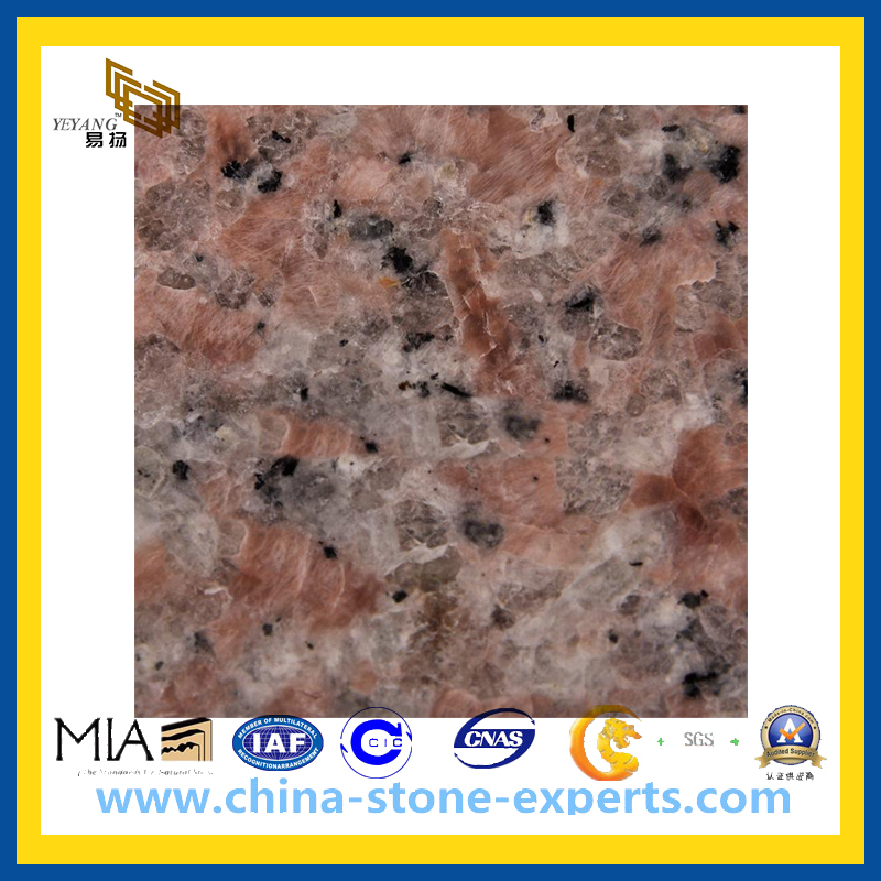 Polished Red Granite Stone Slab (YQZ-GS1020)