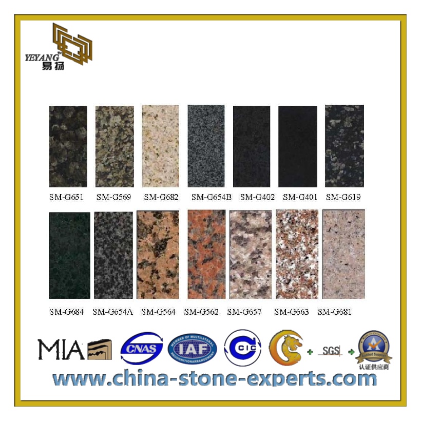 Granite & Marble Stone Floor Tile / Flooring Tile (YQC-GT1014)