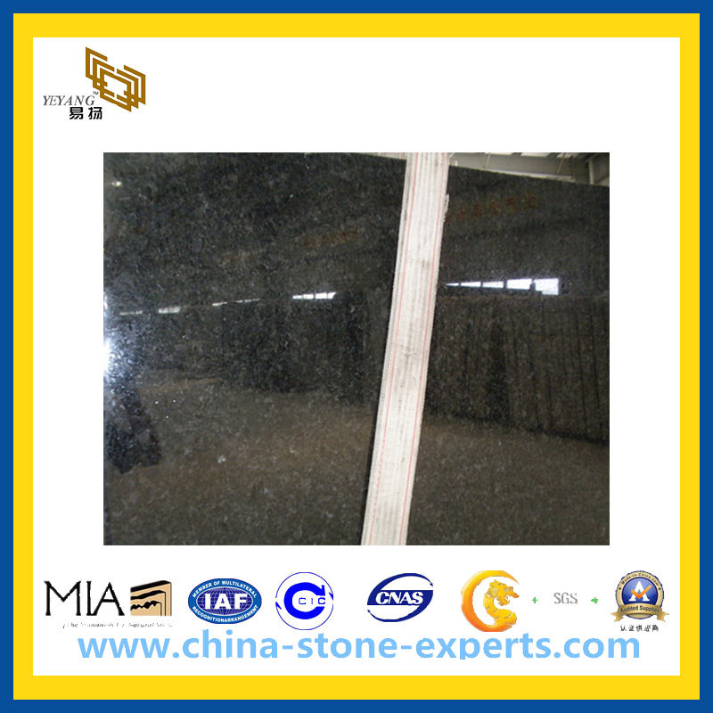 Angola Black Granite Slab for Wall Cladding (YQZ-GS)