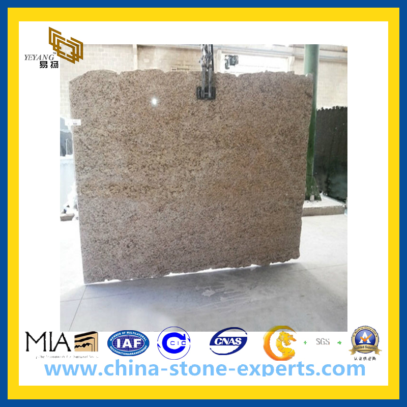Giallo Ornamentale Granite Slab for Kitchen Top or Wall (YQA-GS1005)