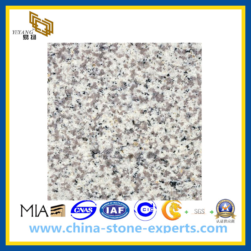 G655 Tong'an White Granite Slab for Countertop & Vanitytop (YQG-GS1014)