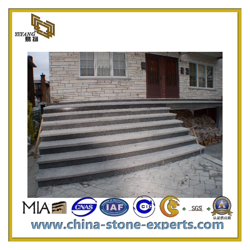Grey Outdoor Stone Step anti-slip Riser Granite Stairs (YQC-S1010)
