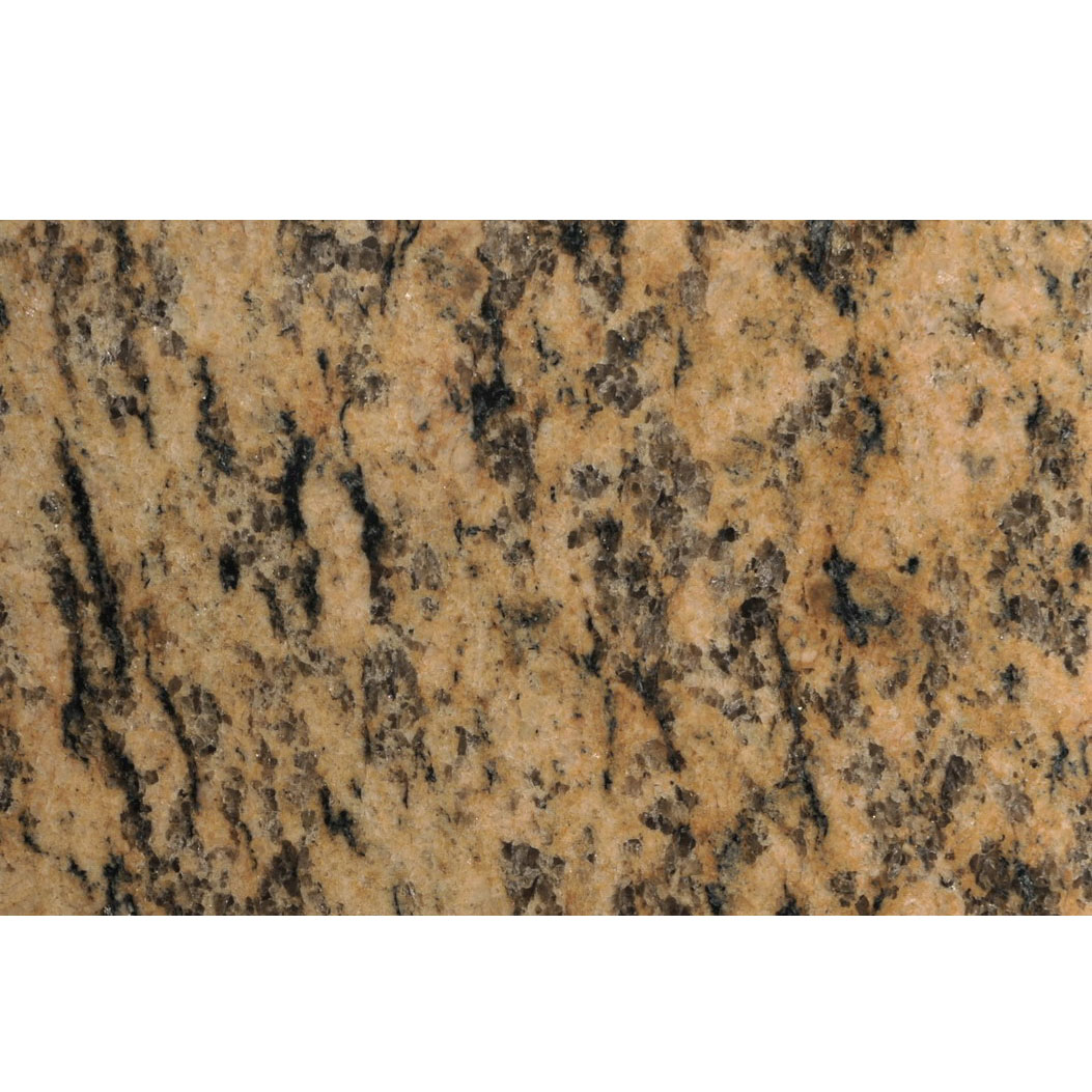 Multicolor Tiger Skin Yellow Granite Slab (YQZ-GS1011)