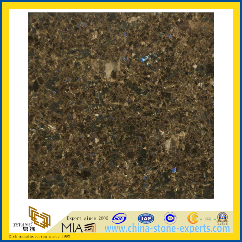 Popular Color Labrador Antique Granite for Tile(YQC)