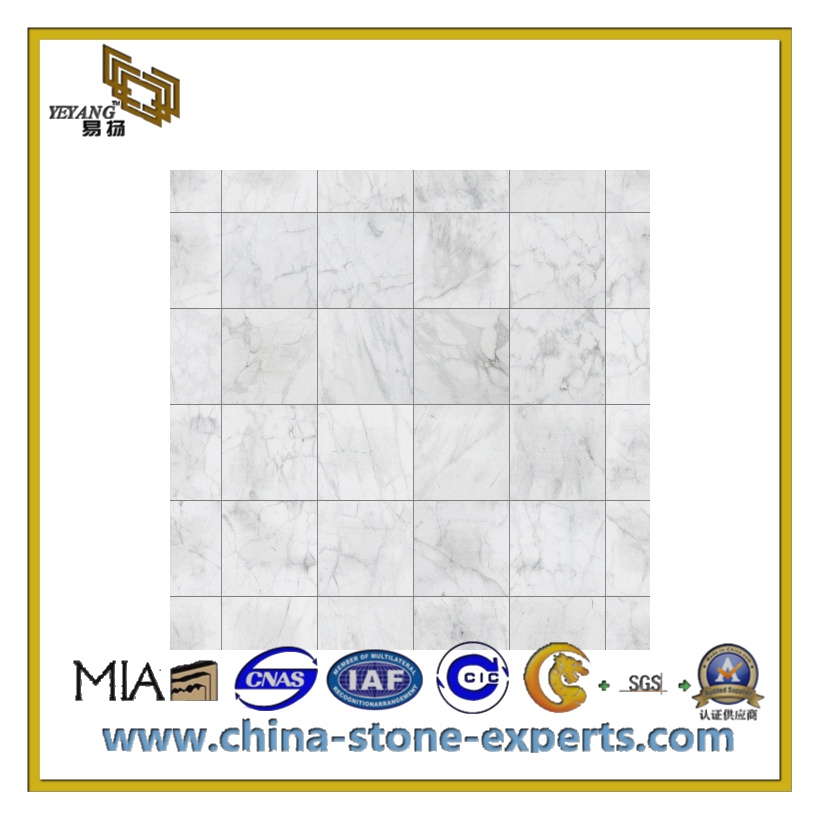 Composited Marble with Porcelain/Ceramic for Wall(YQC)