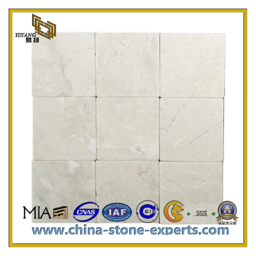 Polished Natural Stone Granite Tile for Flooring and Wall (YQC-GT1015)
