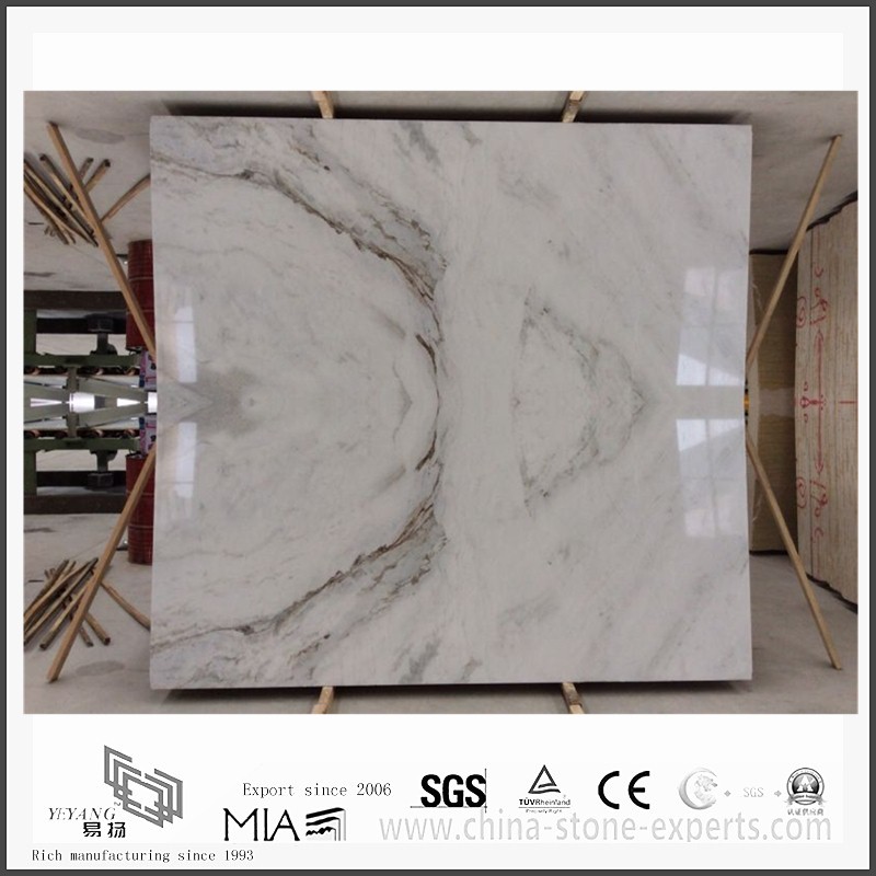 White Marble | Arabescato Venato White Marble Slabs for Kitchen Countertops (YQW-MSA2104)
