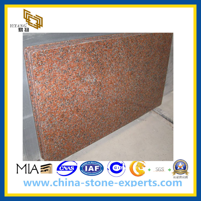 Popular China G562 Pink Granite Slab for Flooring Wall(YQG-GS1011)