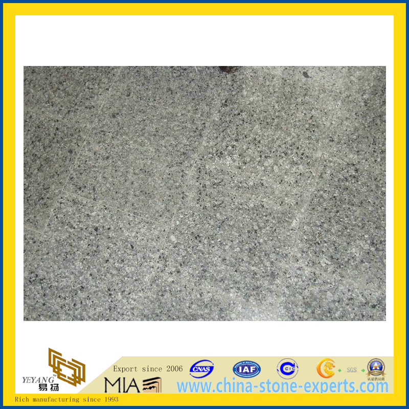 China Economical Pearl Blue Granite Tiles for Flooring, Walling (YQG-GT1167)