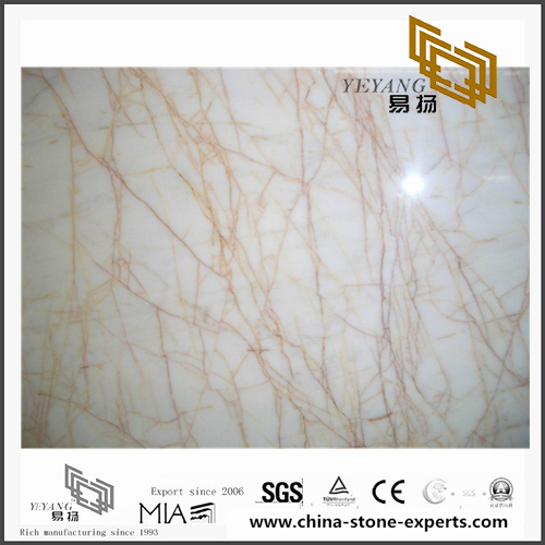 Golden Spider Marble for sale（YQN-100704）
