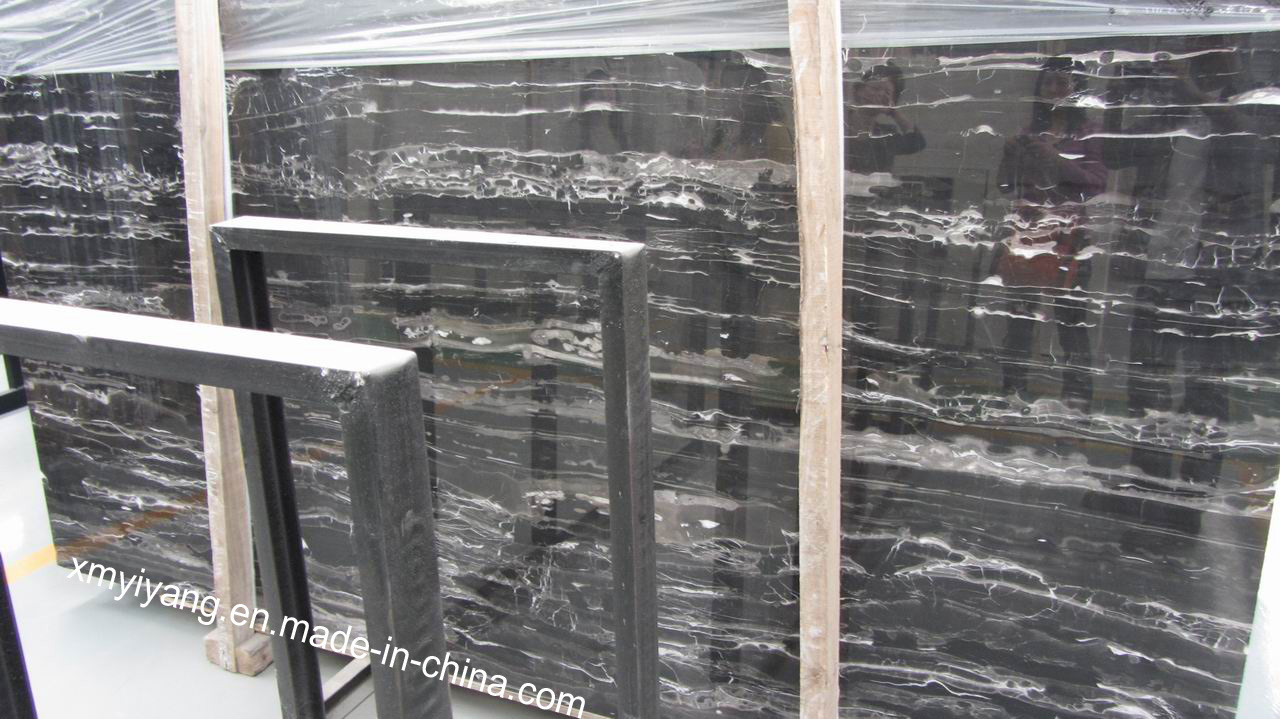Wholesale China Stone Black & White/Silver Dragon Marble for Countertop (YY-VSDS)