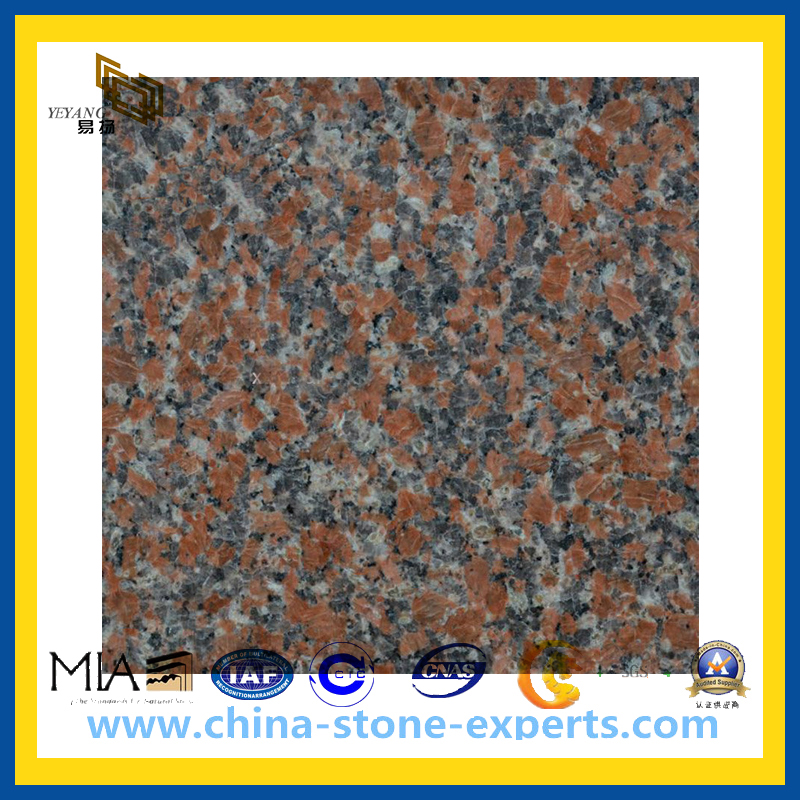 China Polished Red Granite Slab for Decoration / Component / Stairs （YQZ-GS1001）