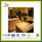 New Venetian Gold Granite Kitchen Countertop (YQA-GC1007)