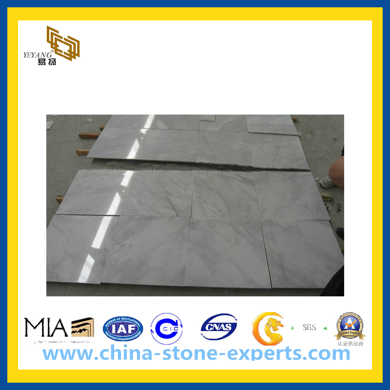 Polished China Carrara White Marble Tile for Floor Wall (YQC)