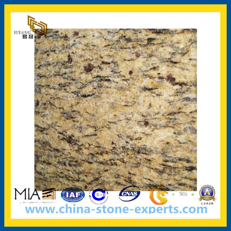 Giallo Santa Cecilia Granite Slab for Countertop (YQZ-GS)