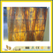 SGS Chinese Cheap Price Yellow Onyx Slab for Walling (YQW-OS1004)