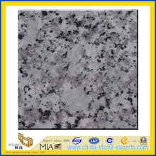 Polished G439 Granite Slabs (YQZ-G1054)