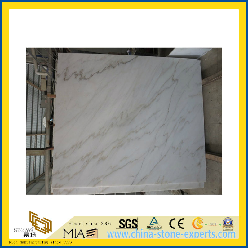 Natural Polished Bianco Carrara White Marble Tile for Wall/Flooring (YQC)