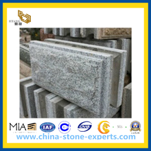 Natural Mushroom Stone for Wall Cladding Tile(YQG-PV1063)