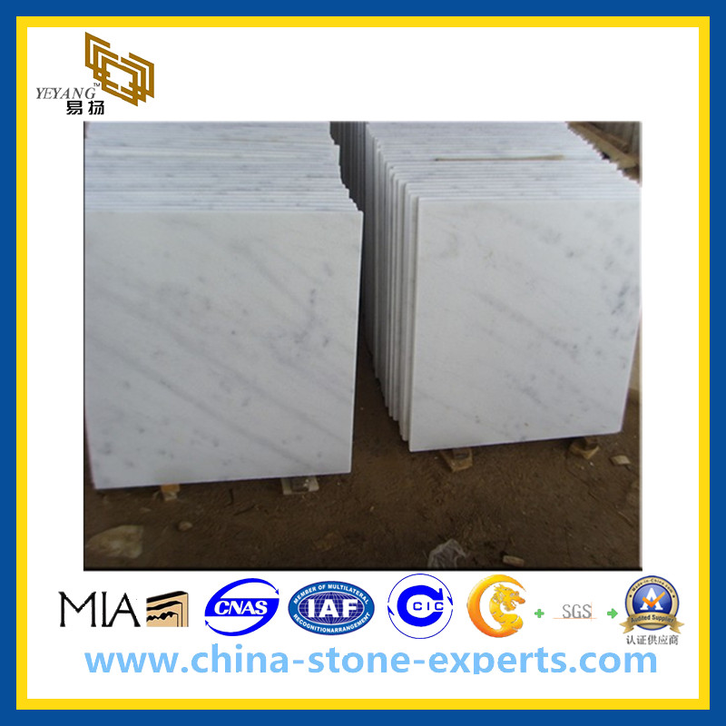 Guangxi White Marble Tiles-White Marble(YQG-MT1016)