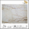 Sofitel Gold Marble for sale（YQN-100701）