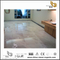 Aristone marble for interior design（YQN-091403）