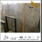New Exclusive Las Grey Marble Slabs for Countertop and Wall / Floor Decor with cheap price (YQN-101303）