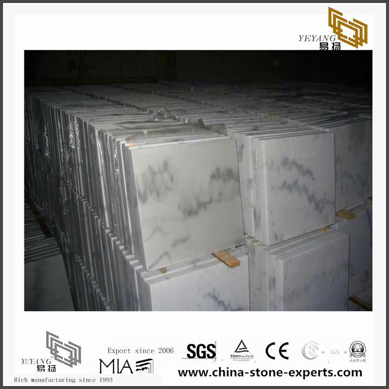 Discount Arabescato White Marbles for sale（YQN-092602）