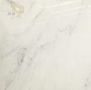 Castro White-Marble Colors | Castro White Marble for Kitchen& Bathroom Countertops